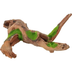 Racine malaisie kipouss s de Zolux - Produit pour animaux dans Sujets pour aquarium