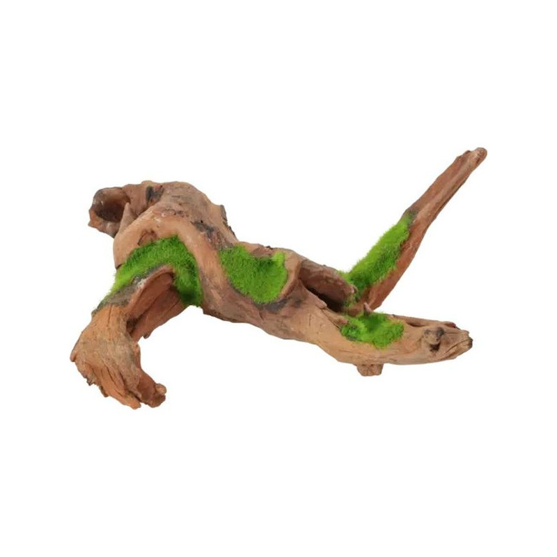 Racine malaisie kipouss m de Zolux - Produit pour animaux dans Sujets pour aquarium