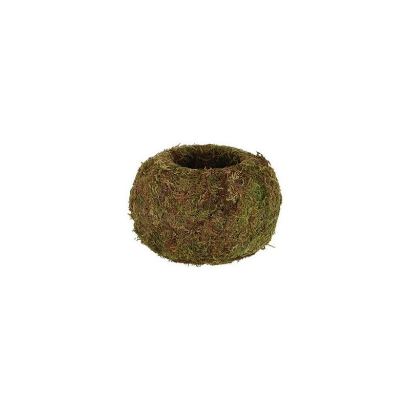 Kokedama boule de mousse m de Esschert design - deco maison et jardin dans Cache-pot et pot déco