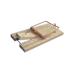 TAPETTE SOURIS BOIS VRAC de Protecta - Produits dans 🐁 Raticide / souricide