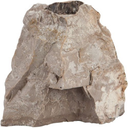 Sera rock asian pagoda s/m 0.6 - 1.4 kg de Sera - alimentation et produit pour aquarium dans Sujets pour aquarium