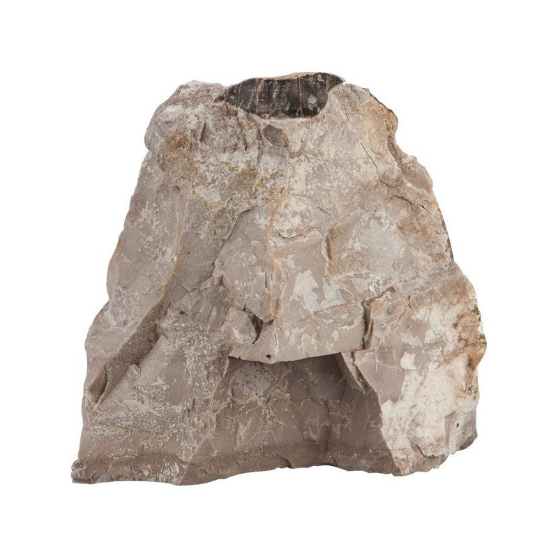 Sera rock asian pagoda s/m 0.6 - 1.4 kg de Sera - alimentation et produit pour aquarium dans Sujets pour aquarium
