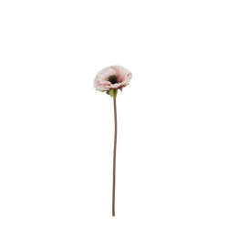 Coquelicot creme 53cm de Edelman - deco maison et noël dans Plantes artificielles