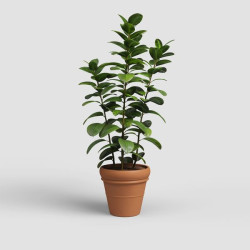 Pot mariza 47cm naturel - terre cuite de Artevasi - Vases et jardinières Déco dans Pots en terre cuite