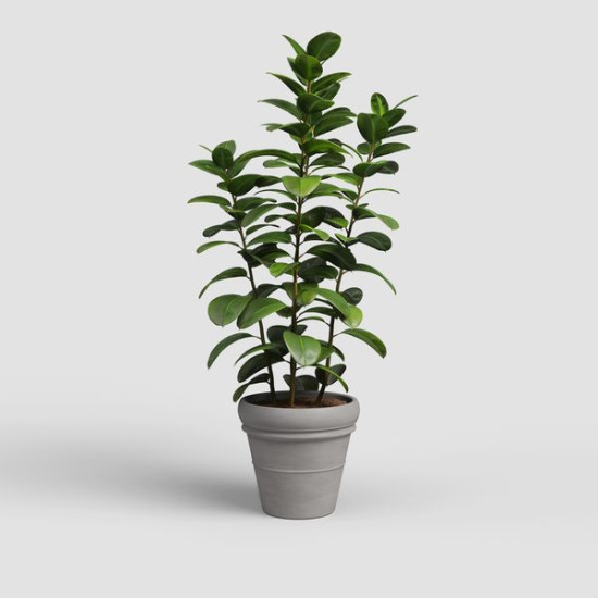 Pot mariza 47cm vulcain - terre cuite de Artevasi - Vases et jardinières Déco dans Pots en terre cuite