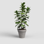 Pot mariza 58cm vulcain - terre cuite de Artevasi - Vases et jardinières Déco dans Pots en terre cuite