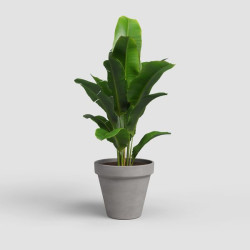 Pot amalia 43cm vulcain - terre cuite de Artevasi - Vases et jardinières Déco dans Pots en terre cuite