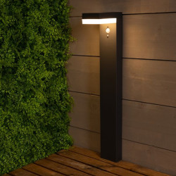 /Piq.jard.lum.40l ant de Kaemingk - deco de la maison dans 💡Guirlande et déco électrique