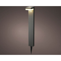 /Piq.jard.lum.40l ant de Kaemingk - deco de la maison dans 💡Guirlande et déco électrique