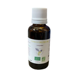 GINKGO Biloba jeune pousse MGC BIO-30 ml de Vallée nature dans Gemmothérapie