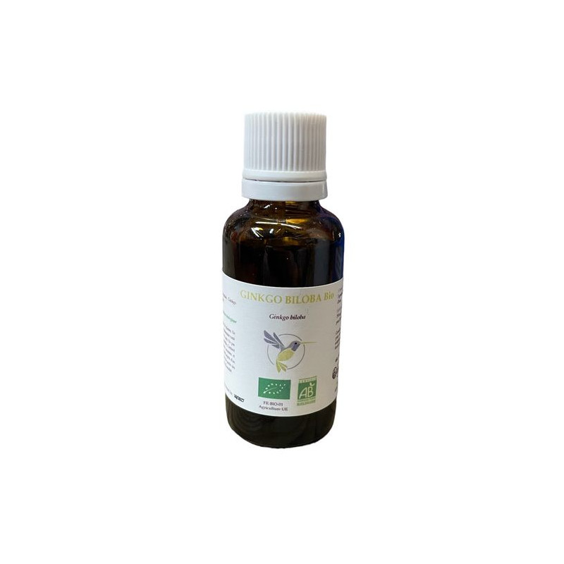 GINKGO Biloba jeune pousse MGC BIO-30 ml de Vallée nature dans Gemmothérapie