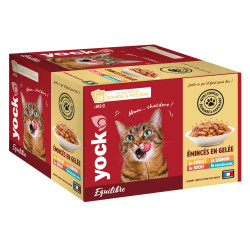 Pâtée Yock Equilibre Émincés Adulte 24X100G de Croquettes YOCK pas cher dans Patees pour chats