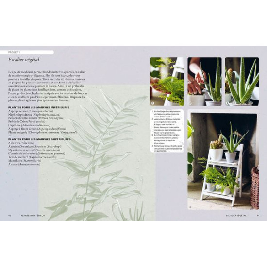 /Plantes d'interieur - manuel du jardinier de Jardinerie Bordeaux Libourne Gironde dans 📗Livre sur le jardin