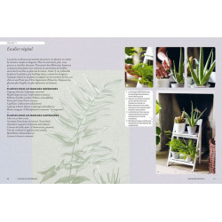 /Plantes d'interieur - manuel du jardinier de Jardinerie Bordeaux Libourne Gironde dans 📗Livre sur le jardin