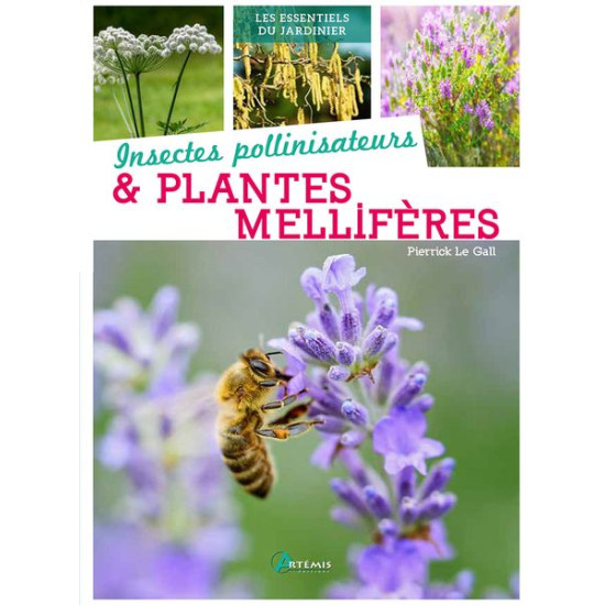 Insectes pollinisateurs et plantes melliferes de Jardinerie Bordeaux Libourne Gironde dans 📗Livre sur le jardin