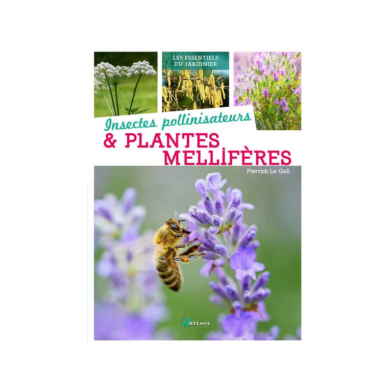 Insectes pollinisateurs et plantes melliferes de Jardinerie Bordeaux Libourne Gironde dans 📗Livre sur le jardin