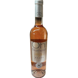 BEARN BIARNESA ROSE 75CL de Table des producteurs Libourne dans 🍷 Vins