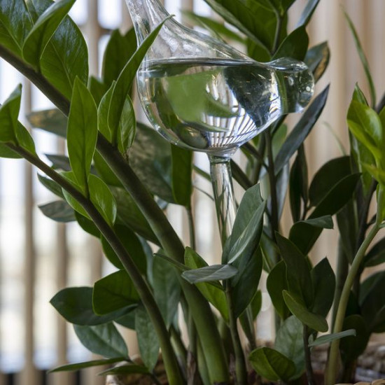 Arroseur plantes oiseau verre de Esschert design - deco maison et jardin dans Arrosage de vacances