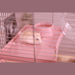 Cage panas colour 60 rose de Zolux - Produit pour animaux dans Cages pour rongeurs