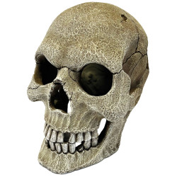 Repto deco human skull xl de Habistat, le matériel pour les reptiles dans Cachette pour reptiles