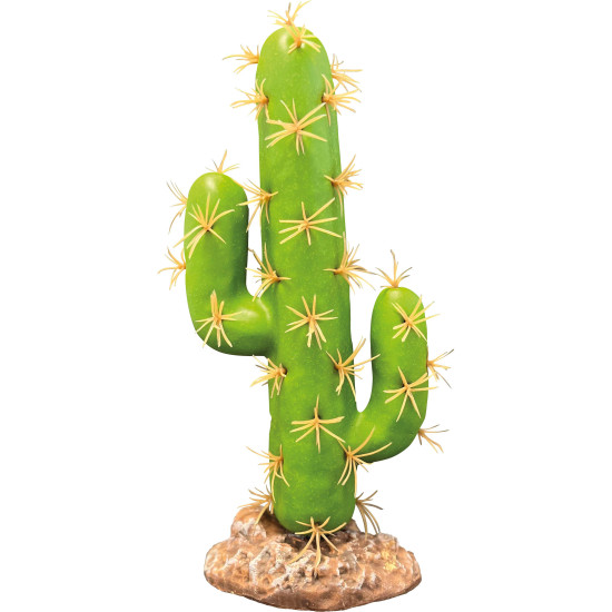Repto plant cactus san pedro de Habistat, le matériel pour les reptiles dans Cachette pour reptiles