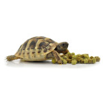 Tortue food fruit & flower 800 g de Habistat, le matériel pour les reptiles dans Alimentation Seche et granules pour reptiles