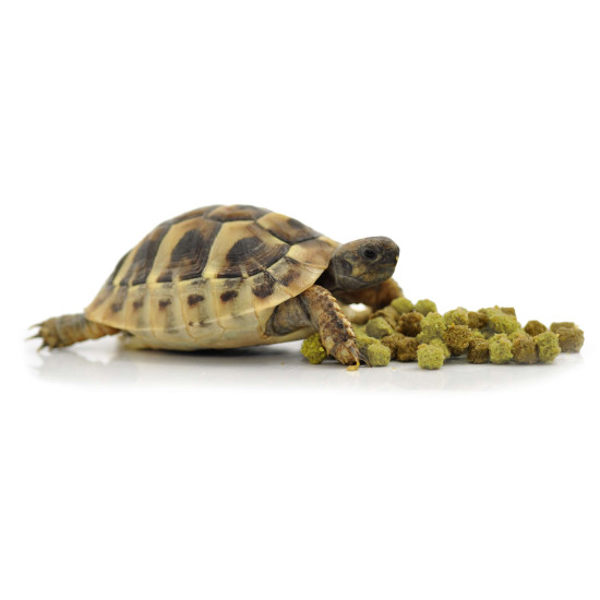Tortue food fruit & flower 200 g de Habistat, le matériel pour les reptiles dans Alimentation Seche et granules pour reptiles