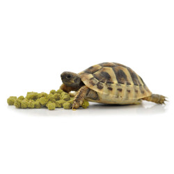 Tortue food banana 400g de Habistat, le matériel pour les reptiles dans Alimentation Seche et granules pour reptiles