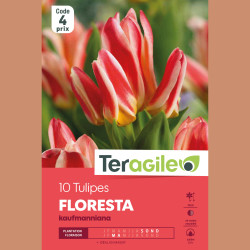 Bulbes tulipe floresta x10 - 12/+ de Teragile - produits pour le jardin dans Tulipe en bulbes