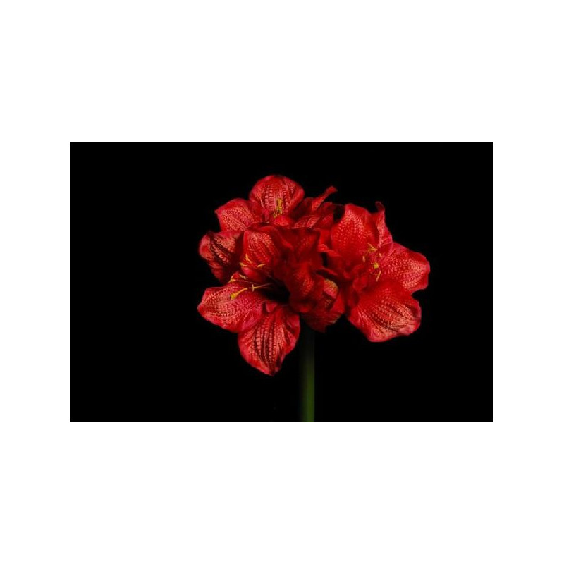 Piquet pensee 6 tiges 21cm 5ass de Jardinerie Bordeaux Libourne Gironde dans Plantes artificielles