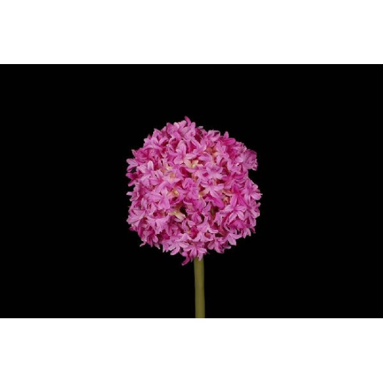 Tige allium 79cm fuchsia de Jardinerie Bordeaux Libourne Gironde dans Plantes artificielles