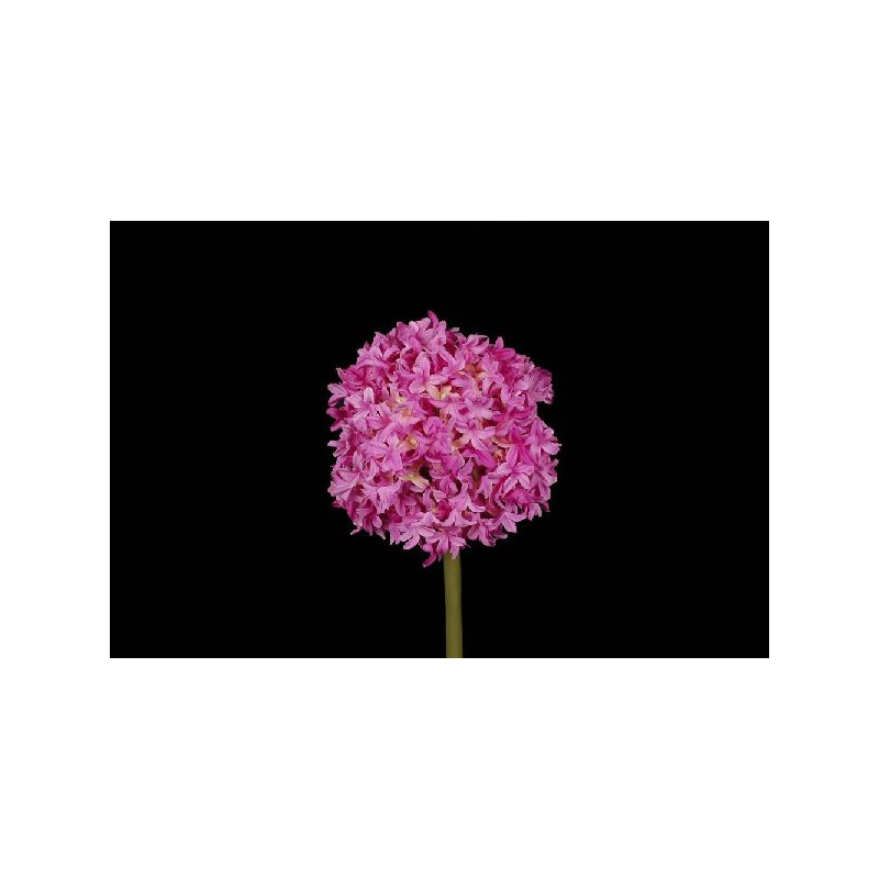 Tige allium 79cm fuchsia de Jardinerie Bordeaux Libourne Gironde dans Plantes artificielles
