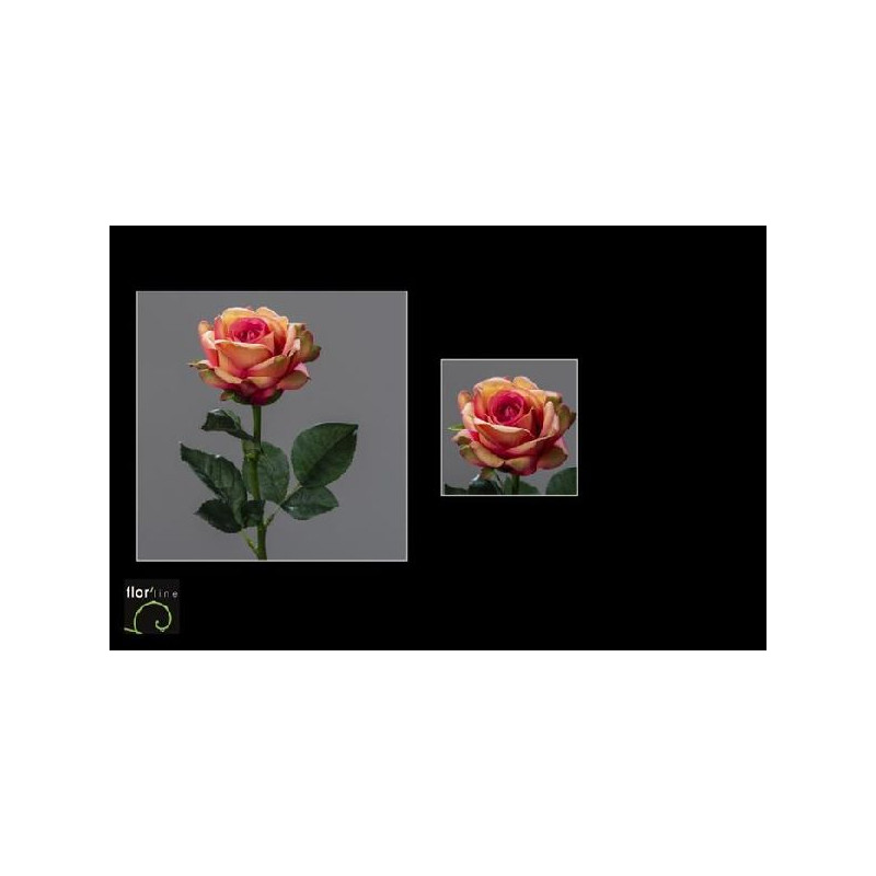 Tige rose ouverte 51cm orange/rose de Jardinerie Bordeaux Libourne Gironde dans Plantes artificielles