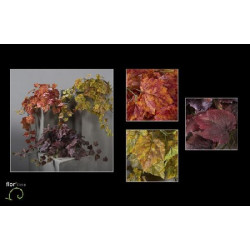 Chute ampelopsis 65cm 3ass de Jardinerie Bordeaux Libourne Gironde dans Plantes artificielles