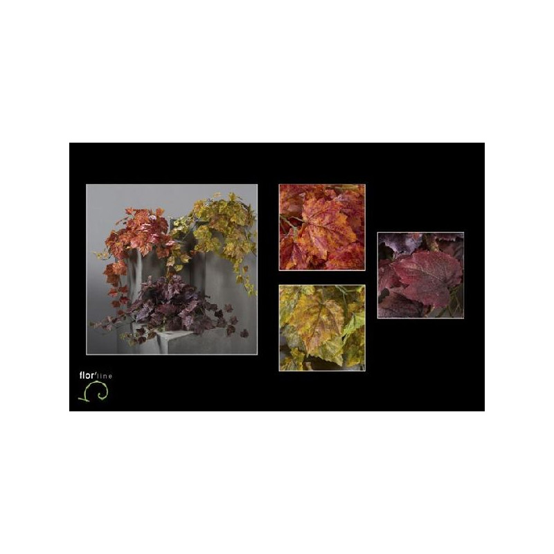 Chute ampelopsis 65cm 3ass de Jardinerie Bordeaux Libourne Gironde dans Plantes artificielles