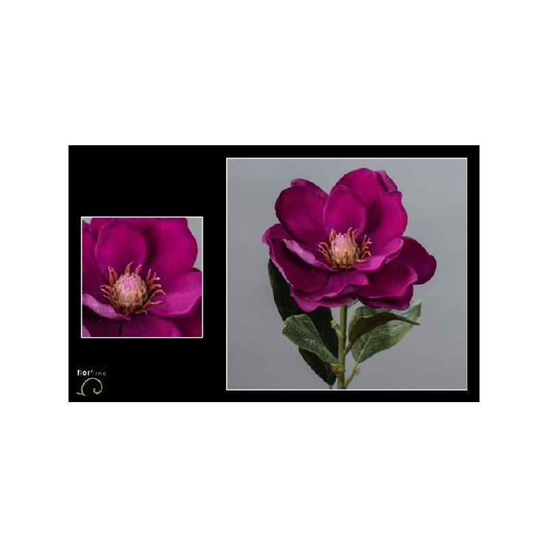 Tige pourpre de magnolia velours 51cm de Jardinerie Bordeaux Libourne Gironde dans Plantes artificielles