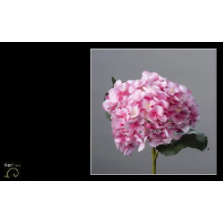 Tige rose hortensia velours 46cm de Jardinerie Bordeaux Libourne Gironde dans Plantes artificielles