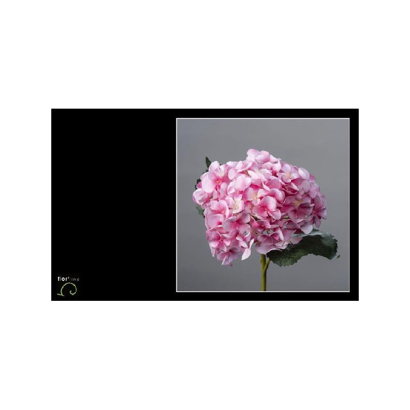Tige rose hortensia velours 46cm de Jardinerie Bordeaux Libourne Gironde dans Plantes artificielles