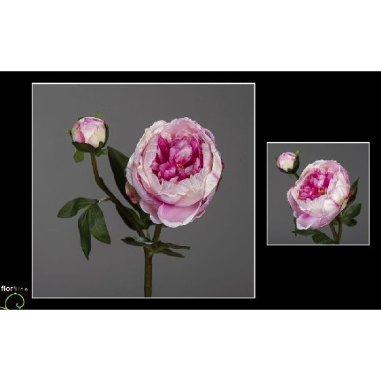 Tige de pivoine h57cm rose de Jardinerie Bordeaux Libourne Gironde dans Plantes artificielles