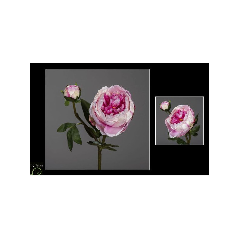 Tige de pivoine h57cm rose de Jardinerie Bordeaux Libourne Gironde dans Plantes artificielles