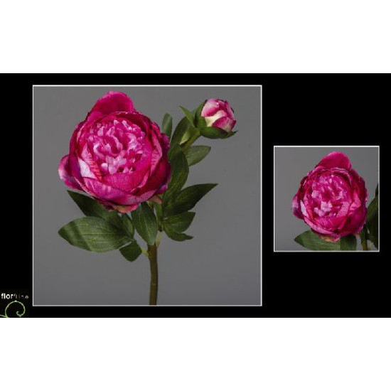 Tige de pivoine h57cm fuchsia de Jardinerie Bordeaux Libourne Gironde dans Plantes artificielles