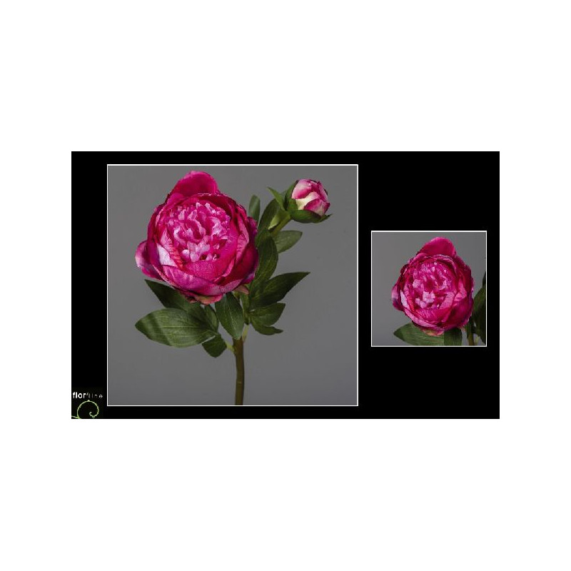 Tige de pivoine h57cm fuchsia de Jardinerie Bordeaux Libourne Gironde dans Plantes artificielles
