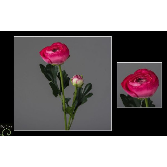 Tige renoncule 54cm fuchsia de Jardinerie Bordeaux Libourne Gironde dans Plantes artificielles
