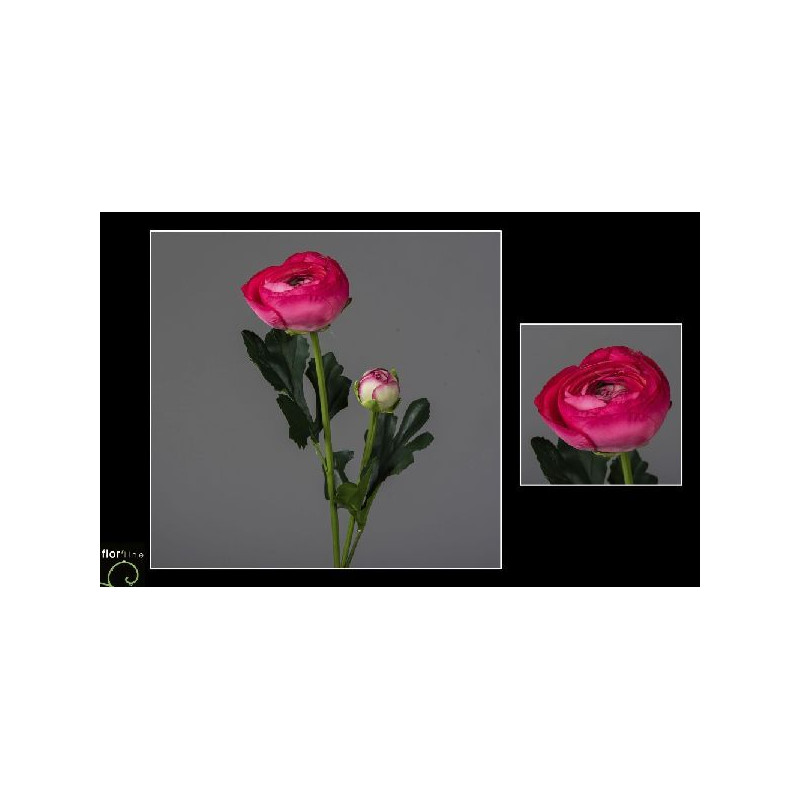 Tige renoncule 54cm fuchsia de Jardinerie Bordeaux Libourne Gironde dans Plantes artificielles