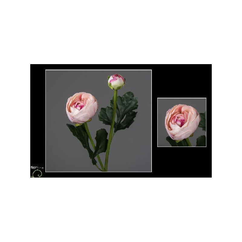 Tige renoncule 54cm rose de Jardinerie Bordeaux Libourne Gironde dans Plantes artificielles