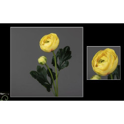 Tige renoncule 54cm jaune de Jardinerie Bordeaux Libourne Gironde dans Plantes artificielles