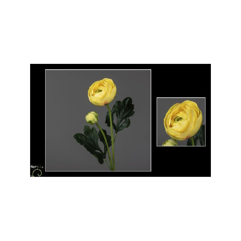 Tige renoncule 54cm jaune de Jardinerie Bordeaux Libourne Gironde dans Plantes artificielles