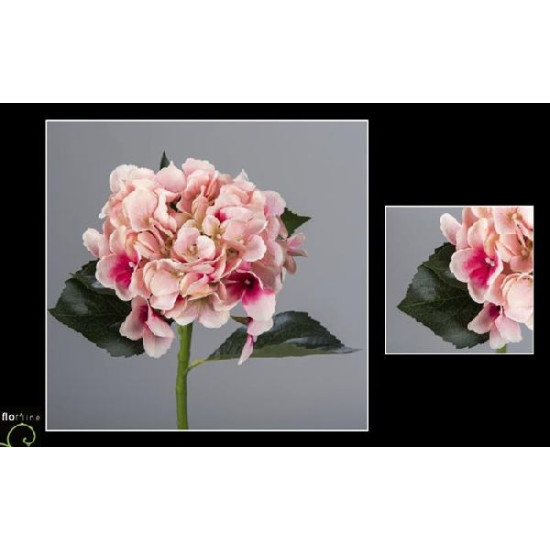 Tige hortensia 48cm fuchsia de Jardinerie Bordeaux Libourne Gironde dans Plantes artificielles