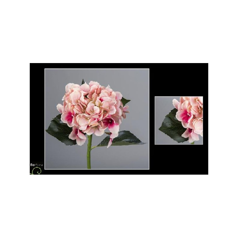 Tige hortensia 48cm fuchsia de Jardinerie Bordeaux Libourne Gironde dans Plantes artificielles