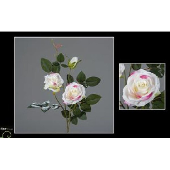 Tige rose 3 fleurs 76cm creme/rose de Jardinerie Bordeaux Libourne Gironde dans Plantes artificielles